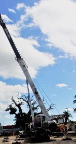 ZOOMLION QY30V 2010 30 TON.