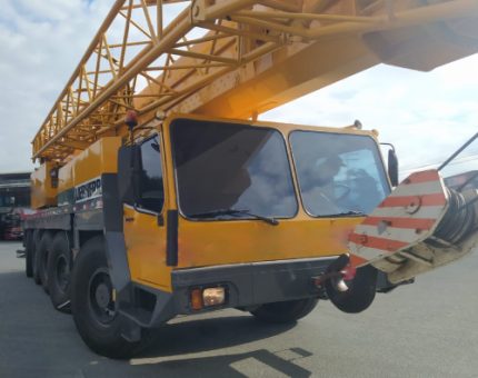 LIEBHERR LTM-1120 1996 120 ton. Revisado