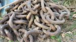 AMARRAS DE 2 1/2" e 3" ; E CORRENTES DE 5"