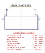 BALSA GRANELEIRA MISSISSIPI 2025 PARA 2000 TON. - CASCO DUPLO