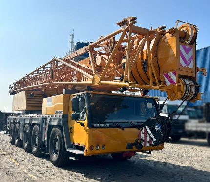 LIEBHERR LTM1220-5.2 2008 220 TON.
