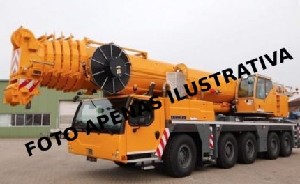 LIEBHERR LTM1220 2010 220 TON.