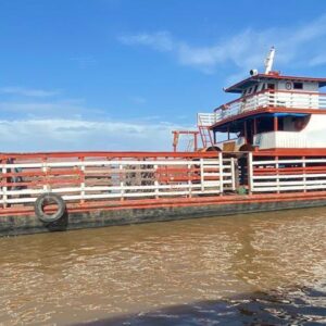 BALSA BOIADEIRA MOTORIZADA 2013 120 TON.