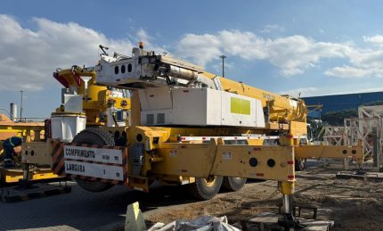 LIEBHERR LTM 1220 2006-2007 220 TON.
